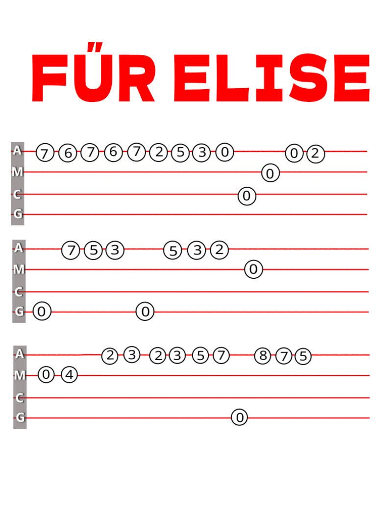 208 fur elise.jpg